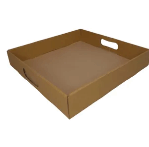 BANDEJA CARTON ENCASTRABLE 30X30X6CM x U