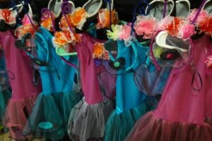 Alidisfcotillonreposteria