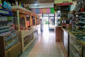 Artistica Jose C Paz