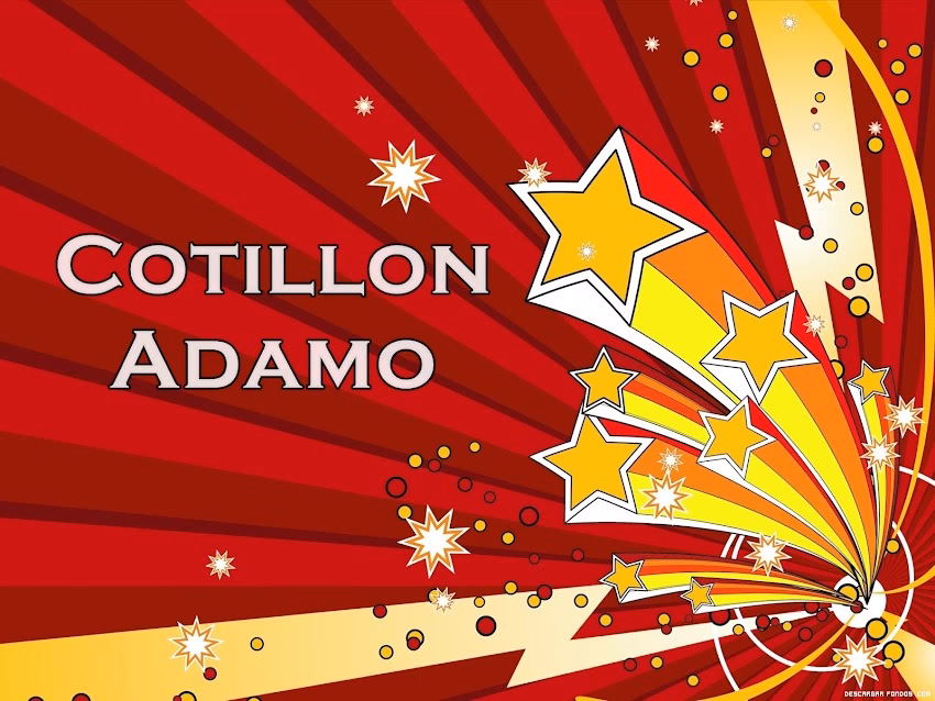 Cotillon Adamo