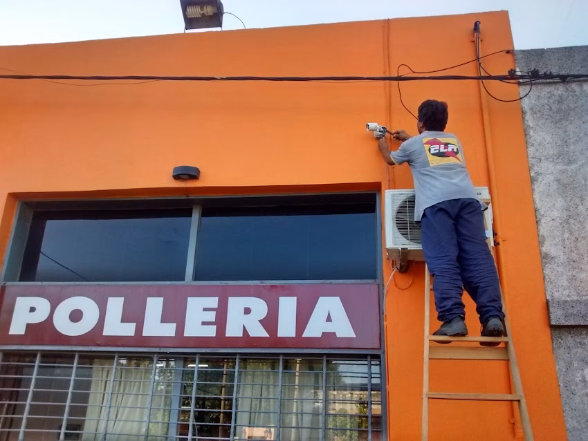 Cotillón Reina Batata