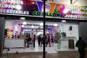 Cotillon Villa Party