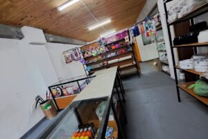 Cotillón Y Descartables Porotitos