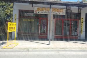 Cotillón Y Dietética La Aldea De Ian y Euge