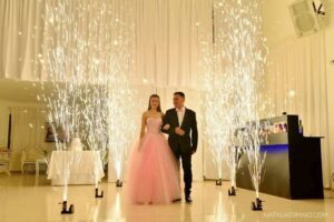 Cotillón y Fuegos Artificiales