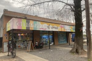 Cotillón y Papelera El Vasco