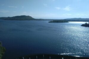 Cotillón y Papelera Ml