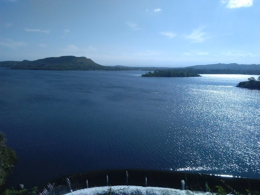 Cotillón y Papelera Ml