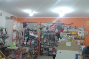 Descartable Y Cotillon La Punta