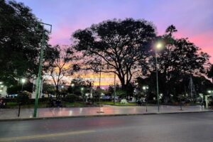 Descartables Cotillon Deco