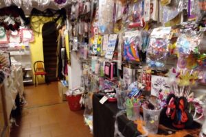 Disfraces Carrousel Olivos