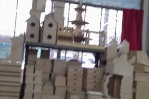 Distrimer Patagonica