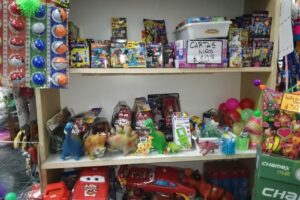 Eco Shopping D Todo Iii