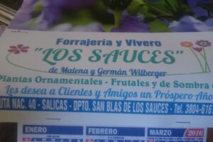 Floreria Y Vivero Los Sauces