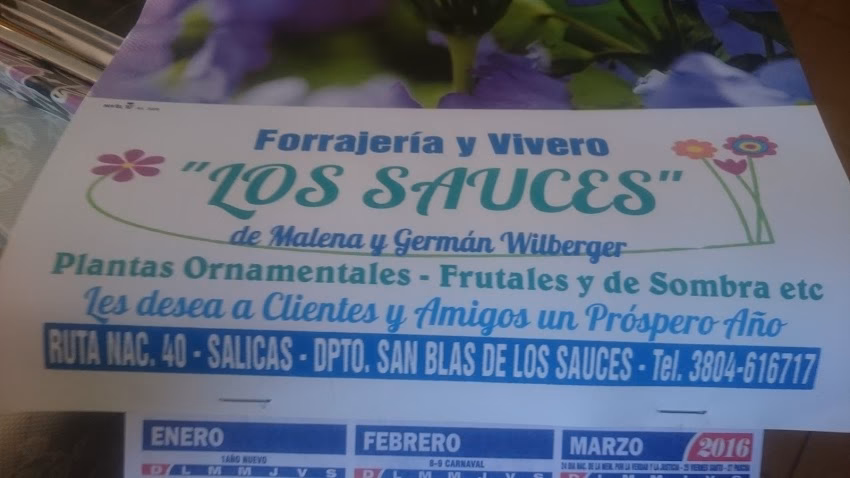 Floreria Y Vivero Los Sauces