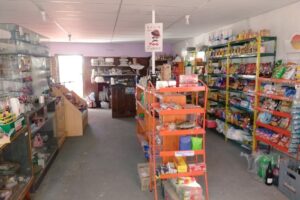 Kanguritos Kiosco cotillón