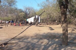 Kiosco Tienda Mistol Pozo