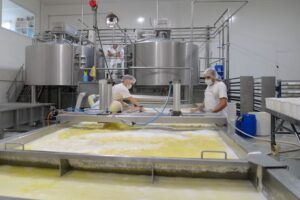 La Blanqueada Lácteos