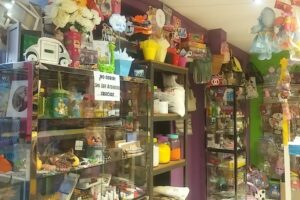 Libreria Escolar Penique