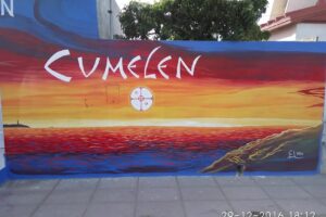 Libreria Y Cotillon Cumelen