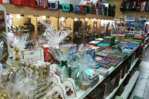 Libreria Y Jugueteria Anjesvan