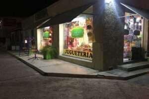 Libreria y Jugueteria LuguiS Jesús María