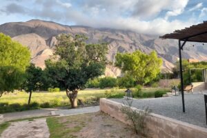 Maima Café Resto Bar