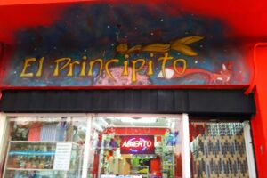 Multirubro El Principito 20