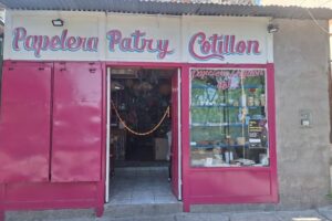 Papelera Cotillón Patry