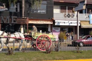 Papelera Mundo Bolsa