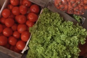 Papelería creativa de Daiana