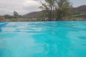 Paquito Hnos Polirubros