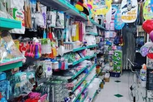 Paz Almeida Cotillón