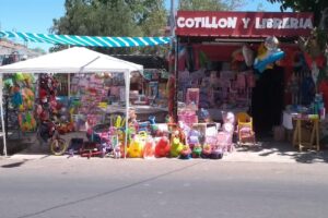Ronesa Electronica Juguetería Libreria Regaleria Cotillon
