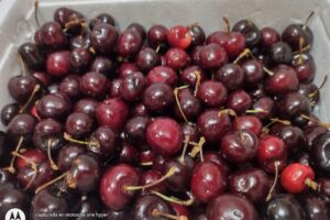 Sugar Repostería y Descartables